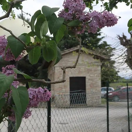 Hotel La Quiete 2*