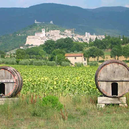 La Quiete 2* Assisi