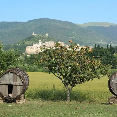 La Quiete Asís